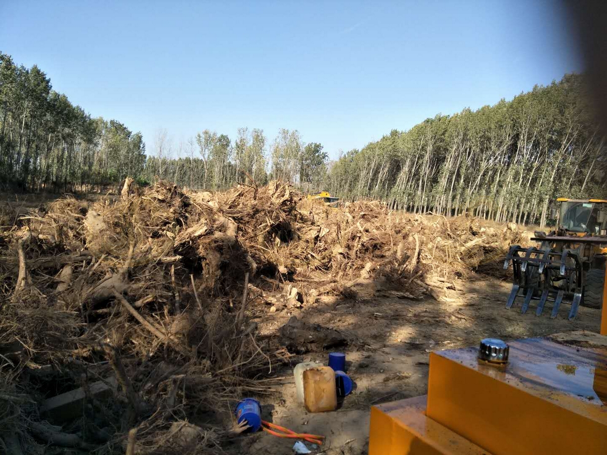 郑州金鹏树枝树根粉碎机用于生物质料场预粉碎处理