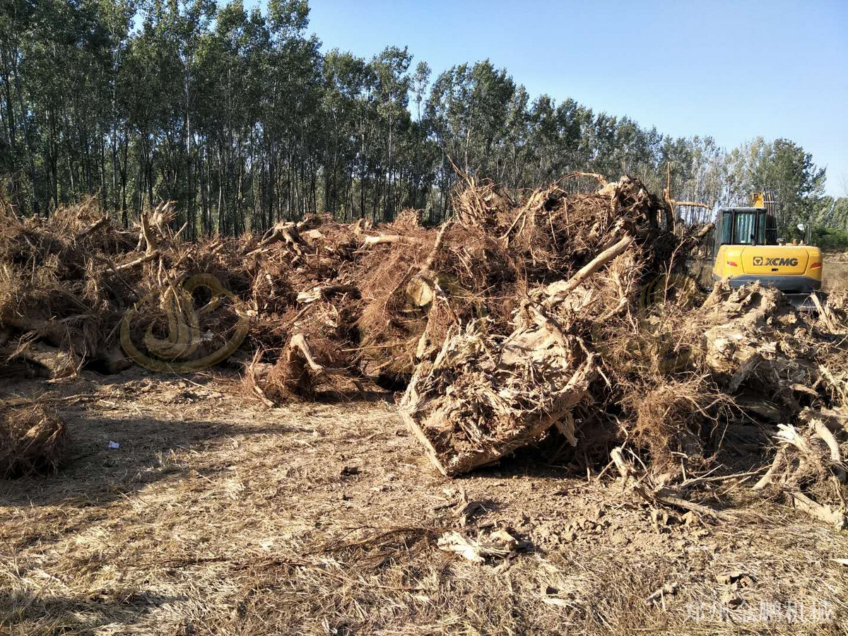 郑州金鹏树干破碎机在生物质电厂燃料预粉碎处理中的高产量配置